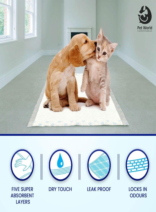 Pet World Dog and Puppy Training Pee Pads with Odor Lock Technology (Pack of1) Leak-Proof,Heavy Duty Absorbency for Indoor Training (60 X 60 cm) |(100 Count) - XL - Image 3